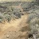 Image for article titled Two Days In The Desert On An Electric Motorcycle
